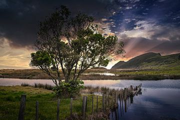Dramatic sunset on the coast of Taraere New Zealand by Albert Brunsting