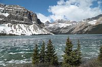 Winters uitzicht op Bow Lake