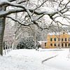 Kasteel Nienoord in de sneeuw met overhangende tak van R Smallenbroek