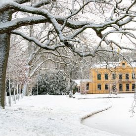 Nienoord Castle in the snow with overhanging branch