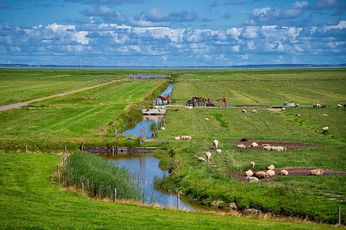 Blick auf Ameland