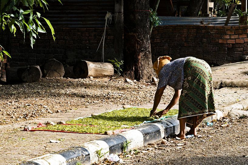 Rural scene: drying green chillies by Frank Photos