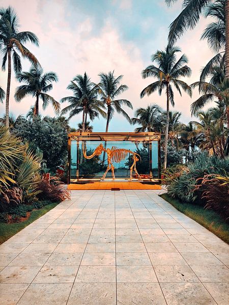 Miami by Hello Pompoyo