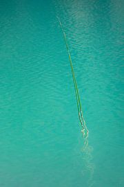 Türkisfarbenes Wasser von Freddy Hoevers