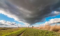 Bedrohliche Wolken Bildung Kinderdijk von Mark den Boer Miniaturansicht