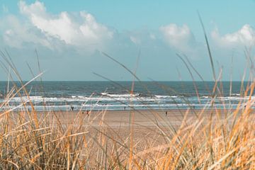 Le surf derrière les dunes sur Marcel Kool