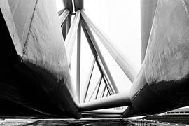 Maeslantkering, Hoek van Holland