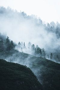 Wolken durch den Wald von Dylan Shu