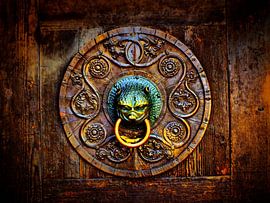 Tür-Detail  by Ilona Picha-Höberth