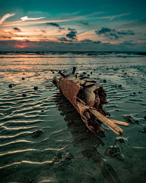 Der Strandräuber von Wesley Kole