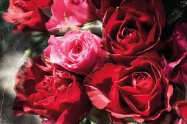 Rose bouquet in colour harmony by Nicc Koch