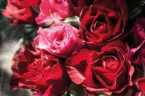 Rose bouquet in colour harmony