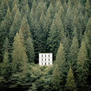 Wald