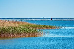 Zeesboot auf dem Bodden bei Wieck