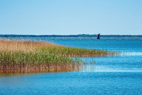 Zeesboot op de Bodden bij Wieck