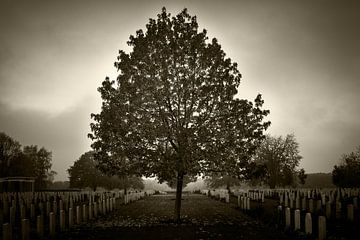 Canadian War Cemetery Groesbeek by Maerten Prins