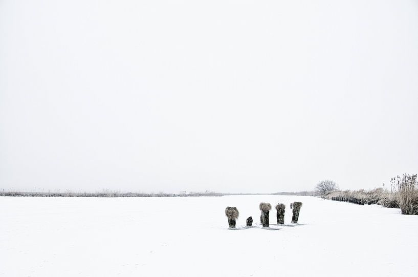 IJspalen by Remco de Vries