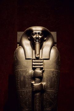 De farao met hiërogliefen in Luxor (Egypte) van MADK