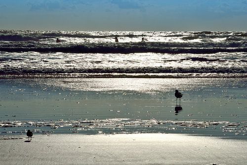 Early morning surfers