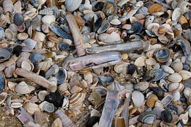 Strandschatten van Berthilde van der Leij