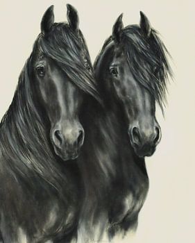 Fries paard met weelderige manen