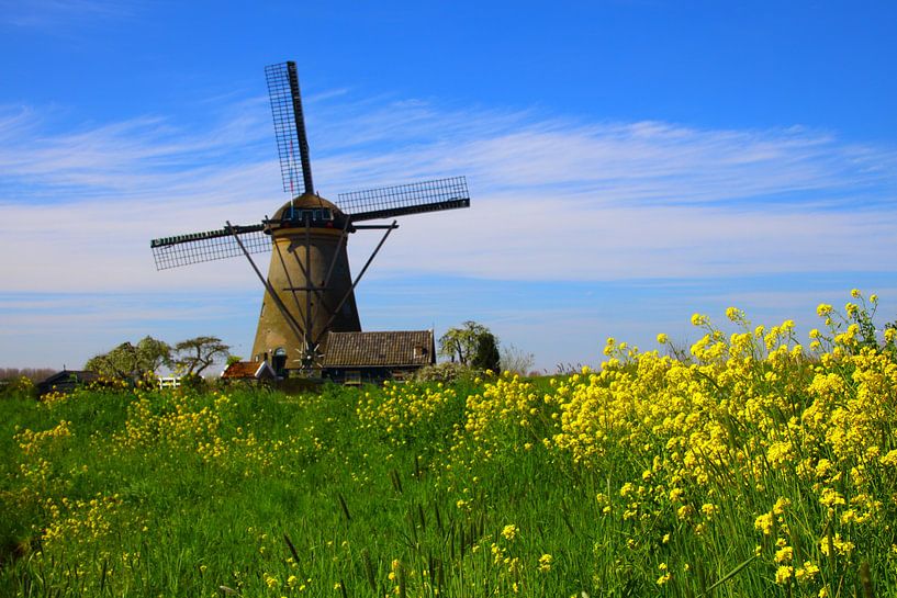 Windmill by Fikri calkin