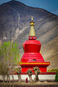 Un moine se promène dans le jardin devant le stupa, au Tibet