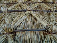 Composition of plaited reeds