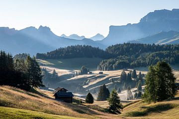 Het ontwaken van de reuzen: gouden ochtend op de Seiser Alm van Christian Möller Jork