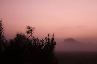 mist