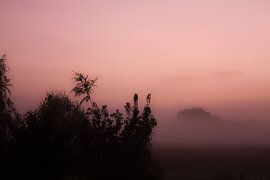 mist by peter lissens