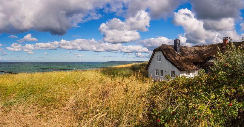 Late summer day by the sea by Daniela Beyer