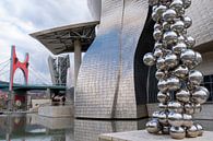 Guggenheim museum | exterieur van Willem Laros | Reis- en landschapsfotografie thumbnail