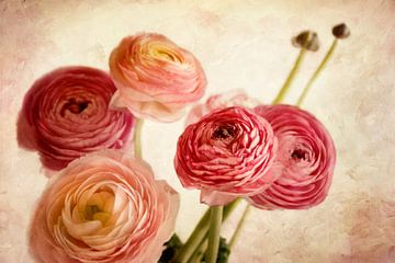 Spring flowers by Claudia Moeckel