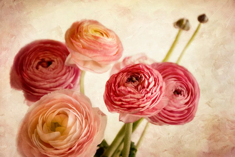 lentebloemen van Claudia Moeckel