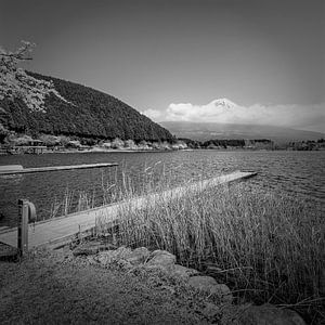 Idyllischer Tanuki-See mit Fuji | monochrom