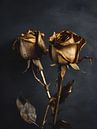 Rosen von On Your Wall Miniaturansicht