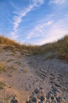 Strandoversteek in Denemarken aan zee van Martin Köbsch