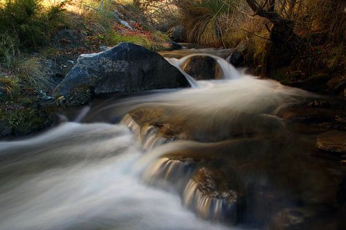 Rio Torrente