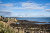 De kust bij St Andrews in Schotland van Marian Sintemaartensdijk thumbnail