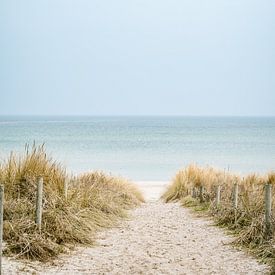 Strandzugang Ostseebad Baabe durch die Dünen ans Meer von Mirko Boy