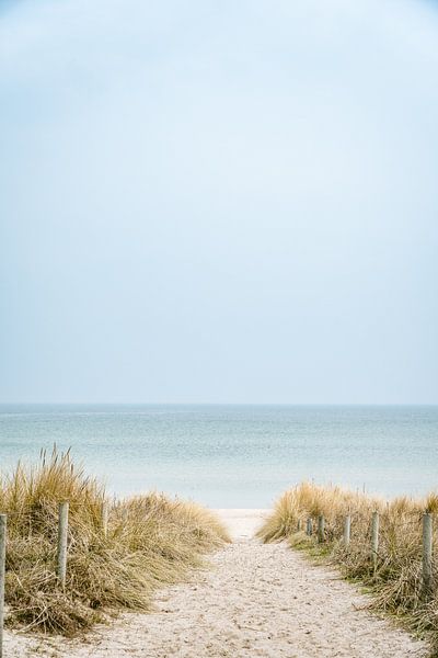 Beach access Ostseebad Baabe through the dunes to the sea by Mirko Boy