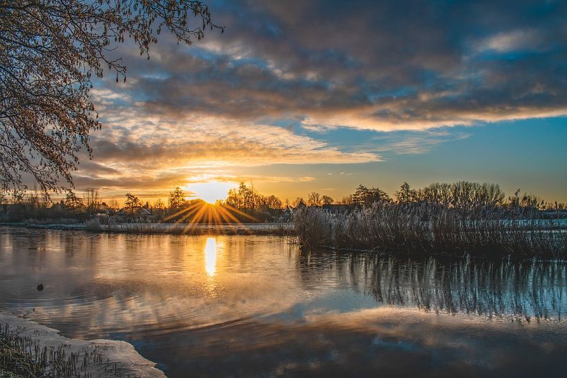 La lumière à travers les arbres avec les nuages et les reflets par Leanne van Iersel