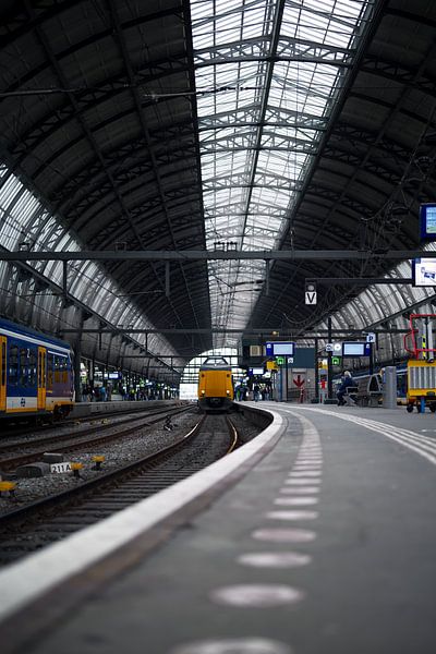 Trein arriveert in Amsterdam Centraal van Job Vermeulen