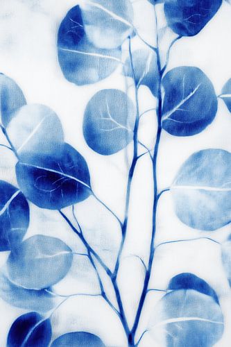 Cyanotypie van eucalyptusbladeren