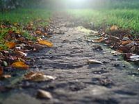Der Weg dorthin?