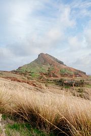 Mountain by Myrthe Vlasveld