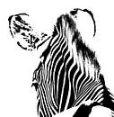 Zebra portrait black white by Werner Lehmann thumbnail