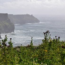 Cliffs of Moher, Irland von Jarne Buttiens