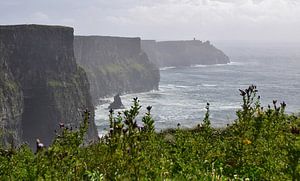 Falaises de Moher, Irlande